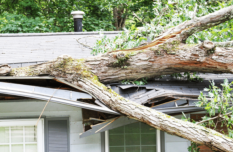 Storm Damage - Incredible Restorations